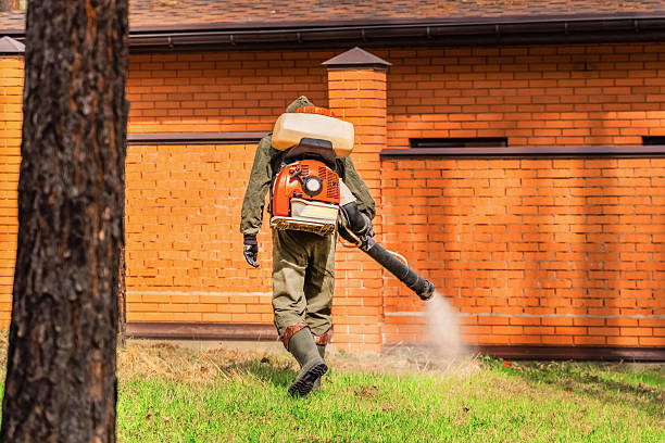 Bed Bug Clearance Verification and Documentation in Sebree